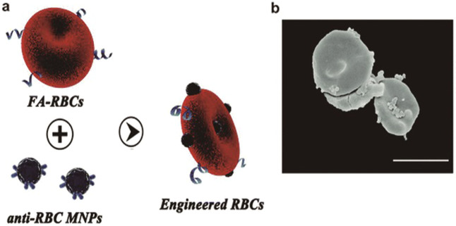 Fig. 11