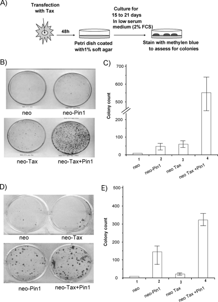 FIG. 6.