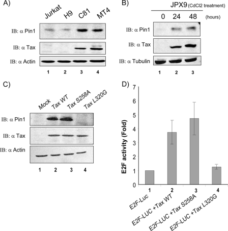 FIG. 1.