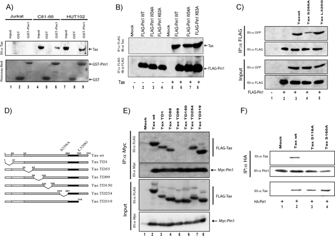 FIG. 2.