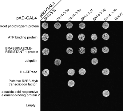 Fig. 10.