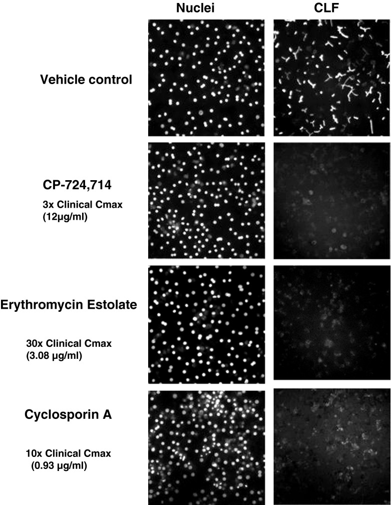 Fig. 47