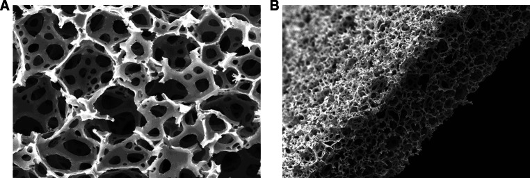 Fig. 14