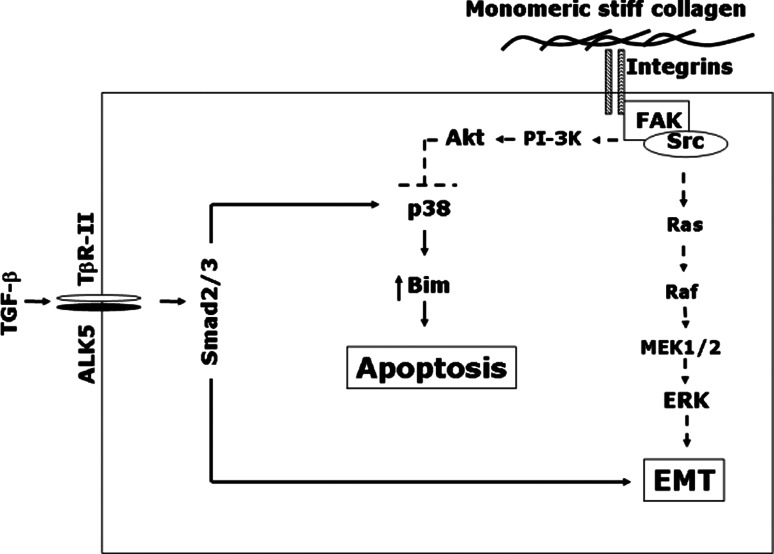 Fig. 28