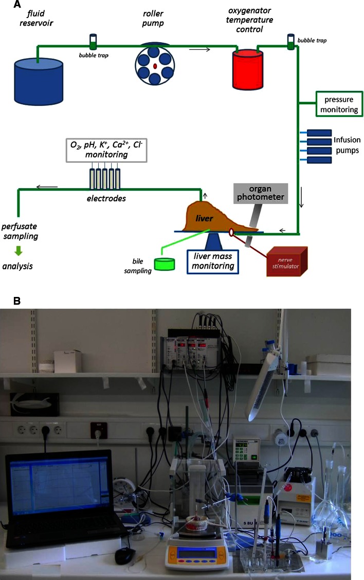 Fig. 7