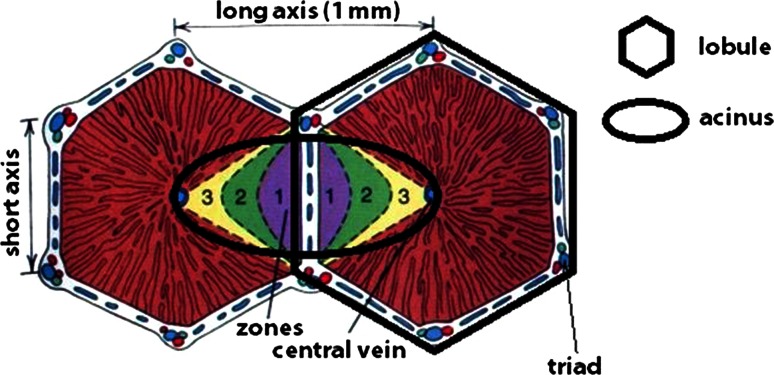 Fig. 2