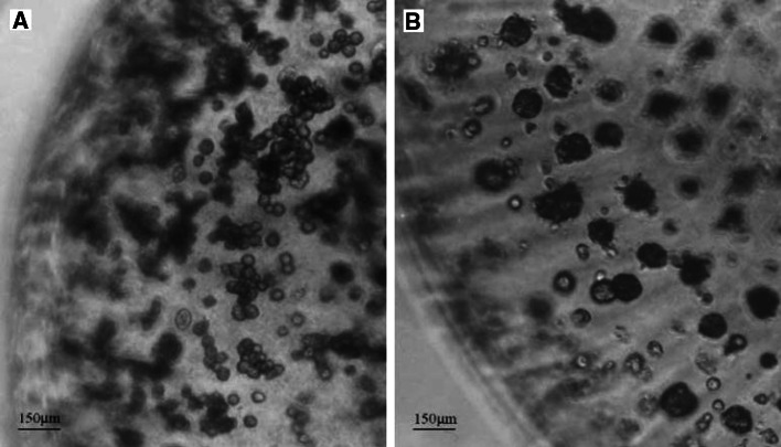 Fig. 16