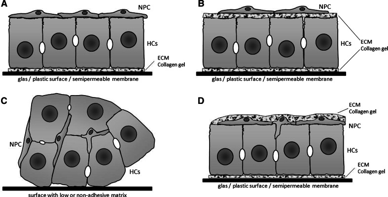 Fig. 17