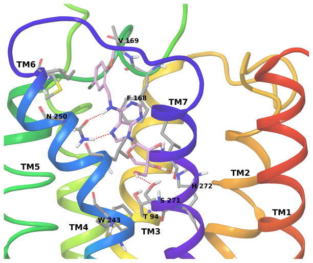 Figure 4