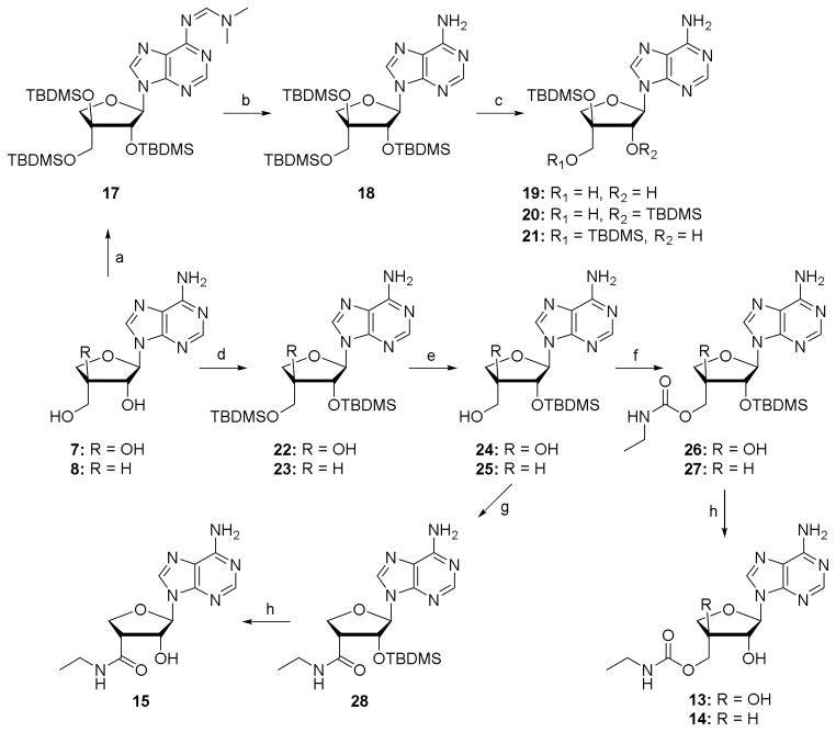 Scheme 2