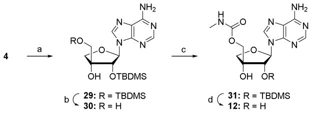 Scheme 3