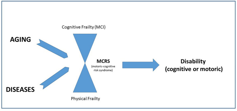 FIGURE 1