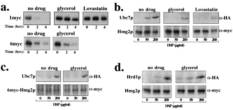 FIG. 6