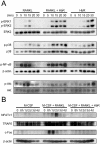FIG. 6.
