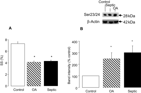 Figure 7