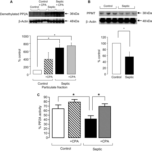 Figure 6