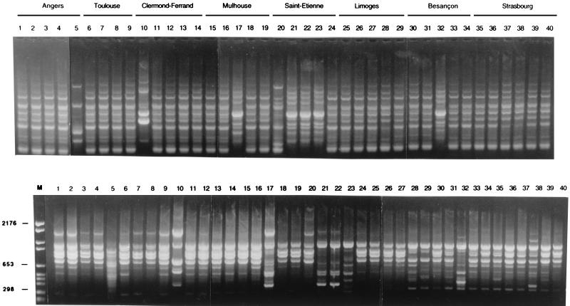 FIG. 1