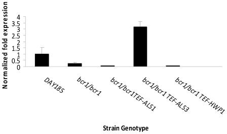 Figure 6