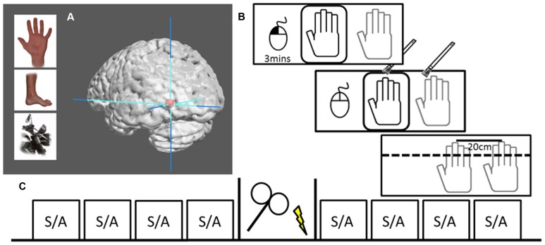 FIGURE 1