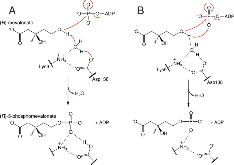 Fig 7