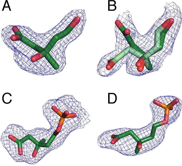 Fig 3