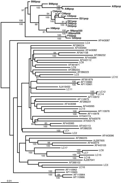 FIG. 2.