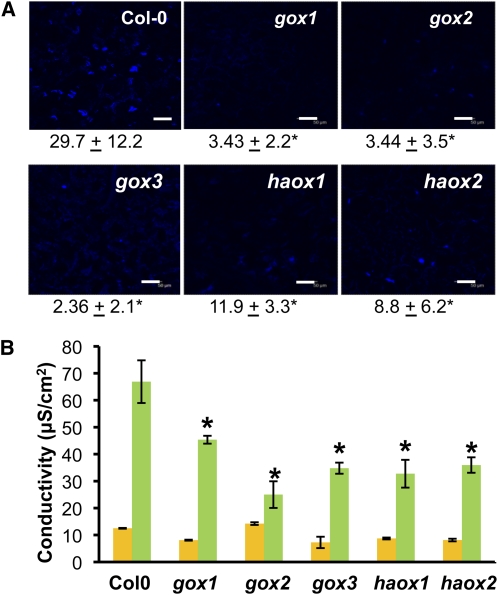 Figure 6.