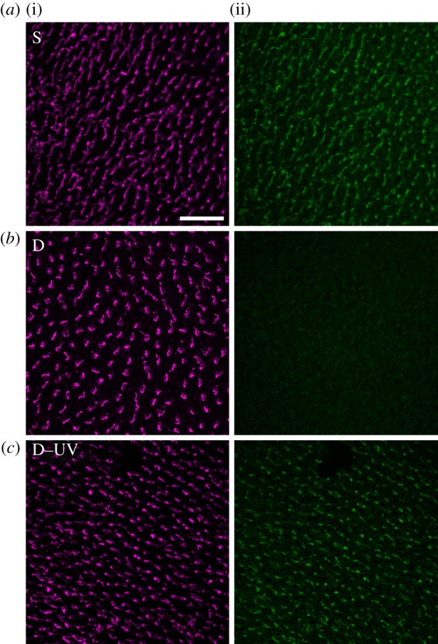 Figure 1.