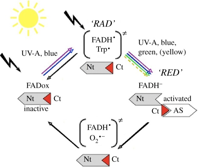 Figure 3.