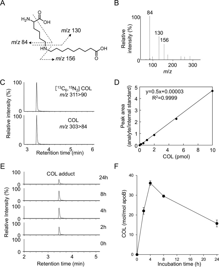 Figure 9.