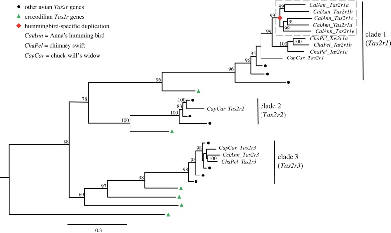 Figure 1.