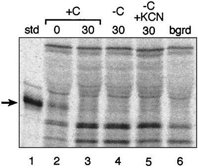 FIG. 5