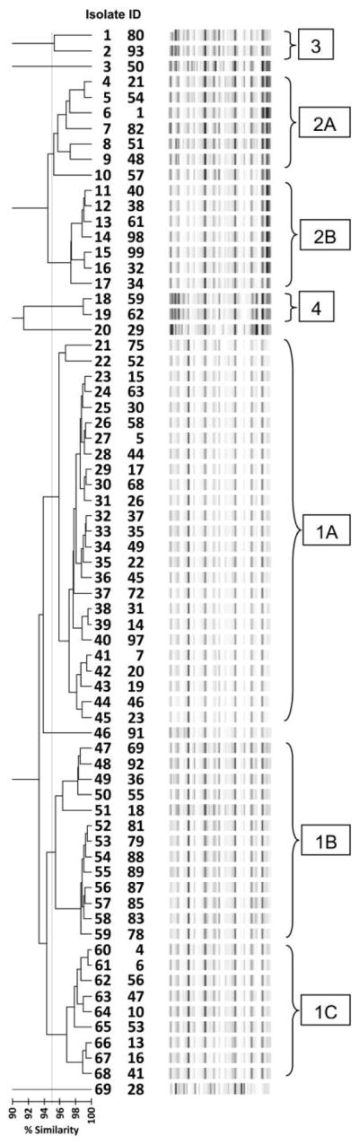 FIGURE 1