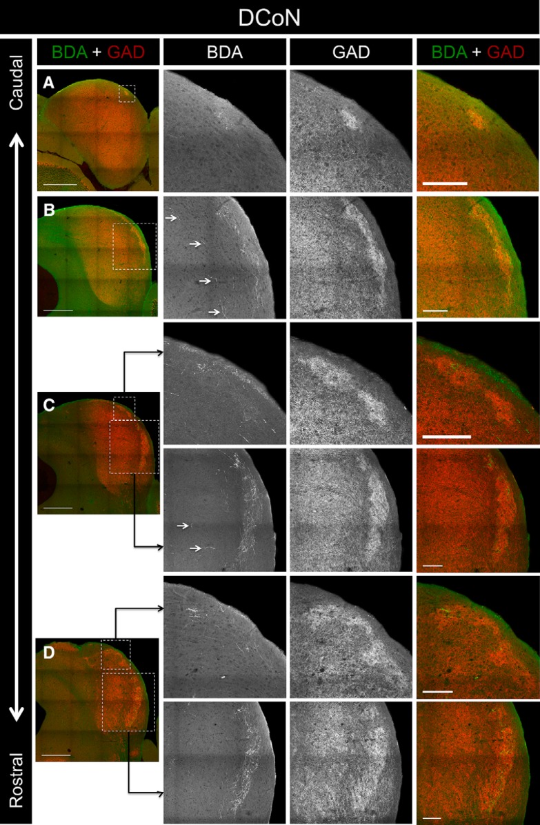 Figure 10.