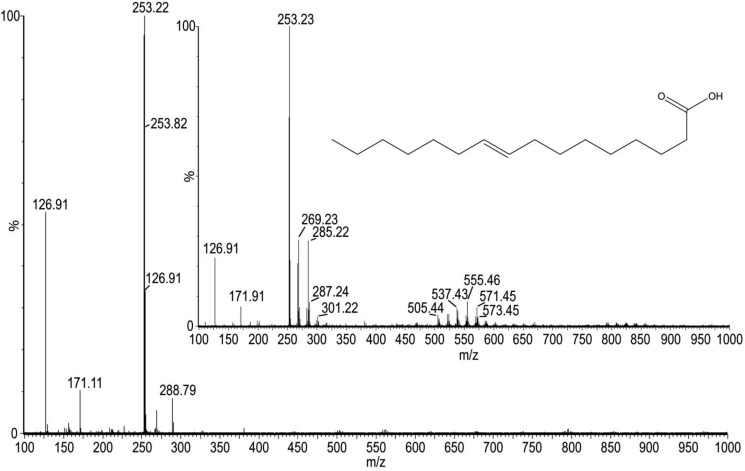 Figure 7.