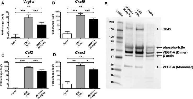 Fig. 9