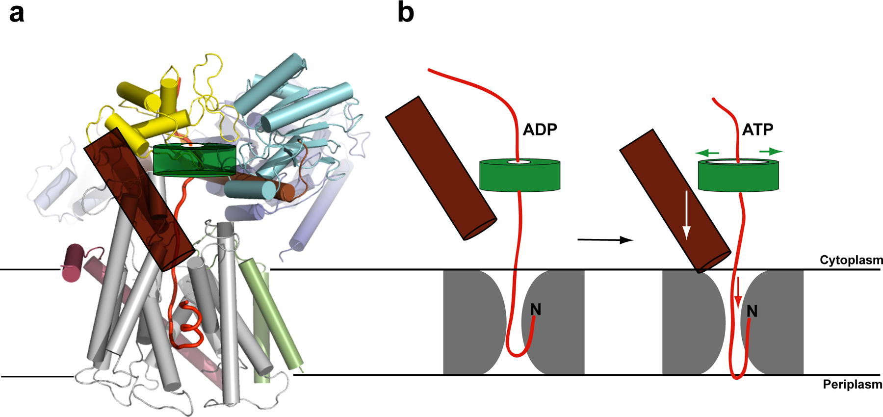 Figure 5.