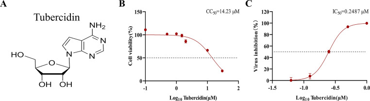 Fig 2