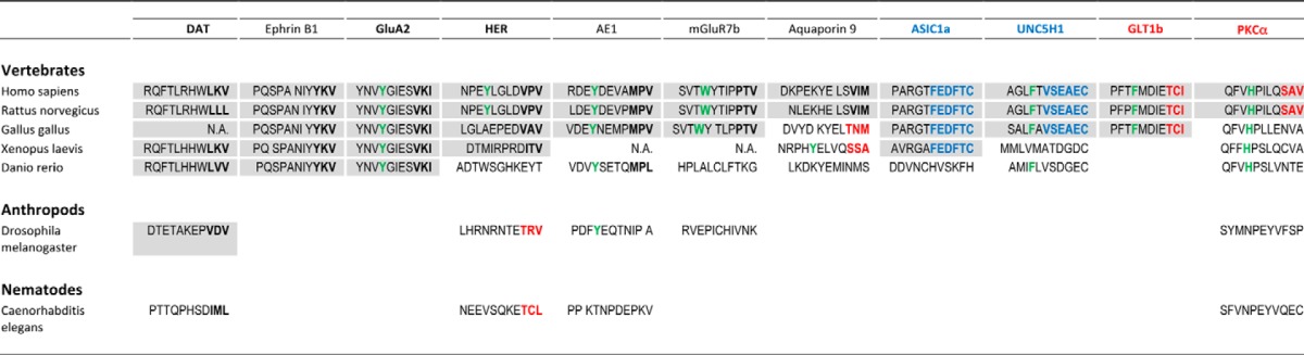 graphic file with name zbc039149441t008.jpg