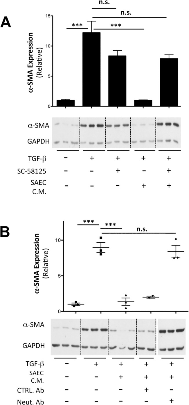 Fig 7