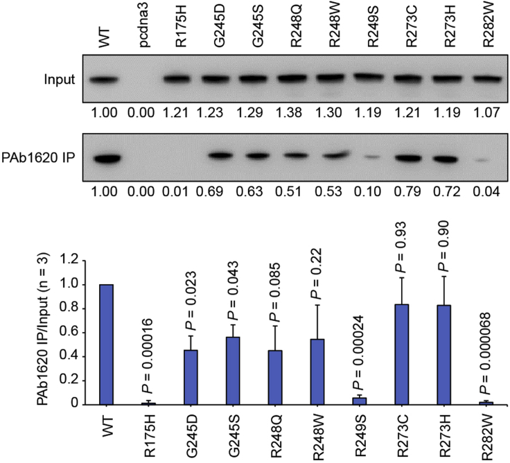 Figure 4