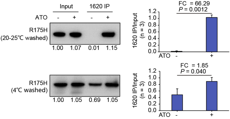 Figure 6