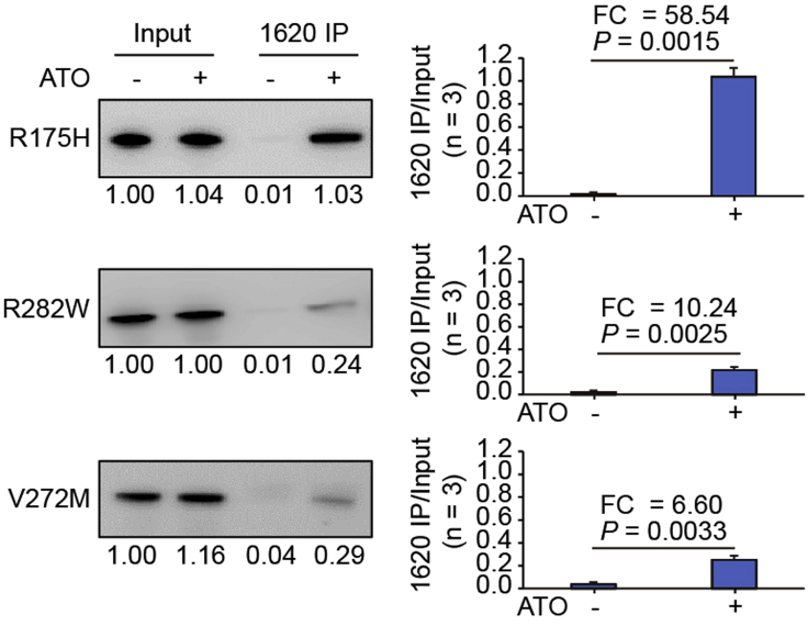 Figure 5