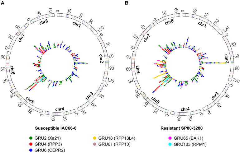 FIGURE 4