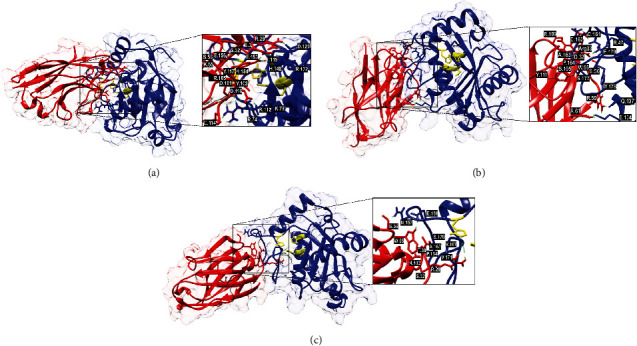 Figure 5