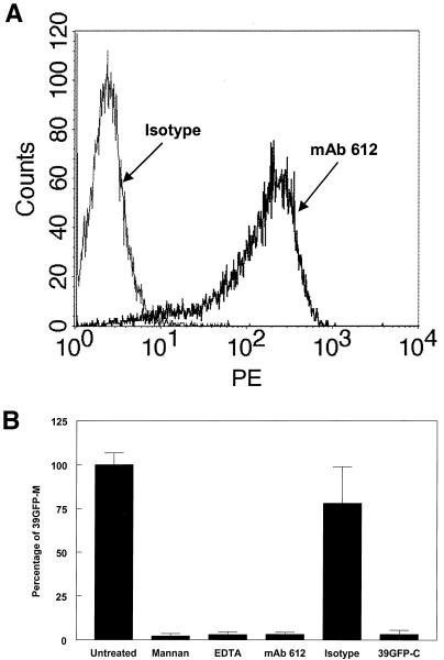 FIG. 8.