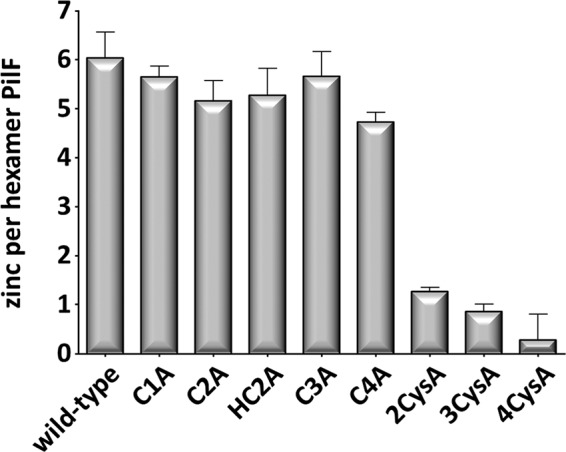 FIGURE 2.