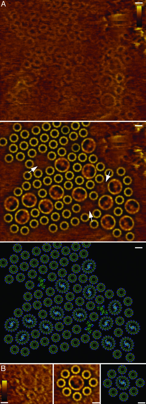 Fig. 3.