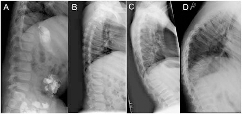 Figure 4: