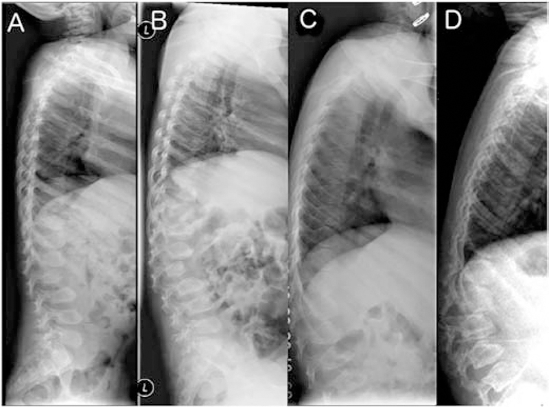 Figure 2: